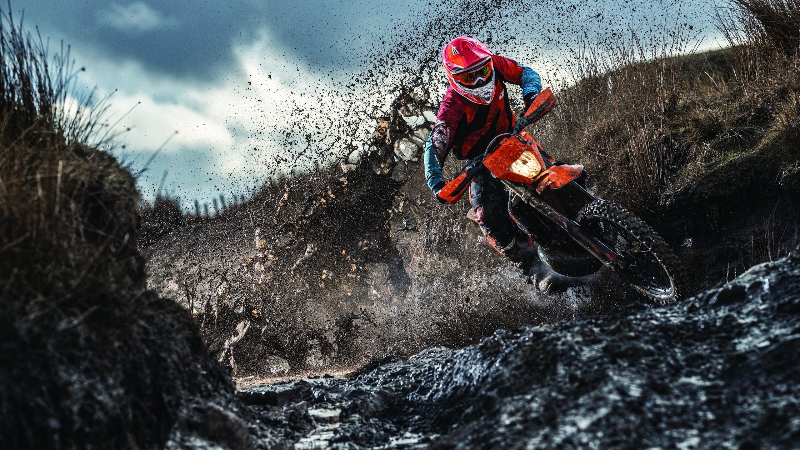 苏炳添现场观看学生田径比赛，田径运动员苏炳添的比赛成绩